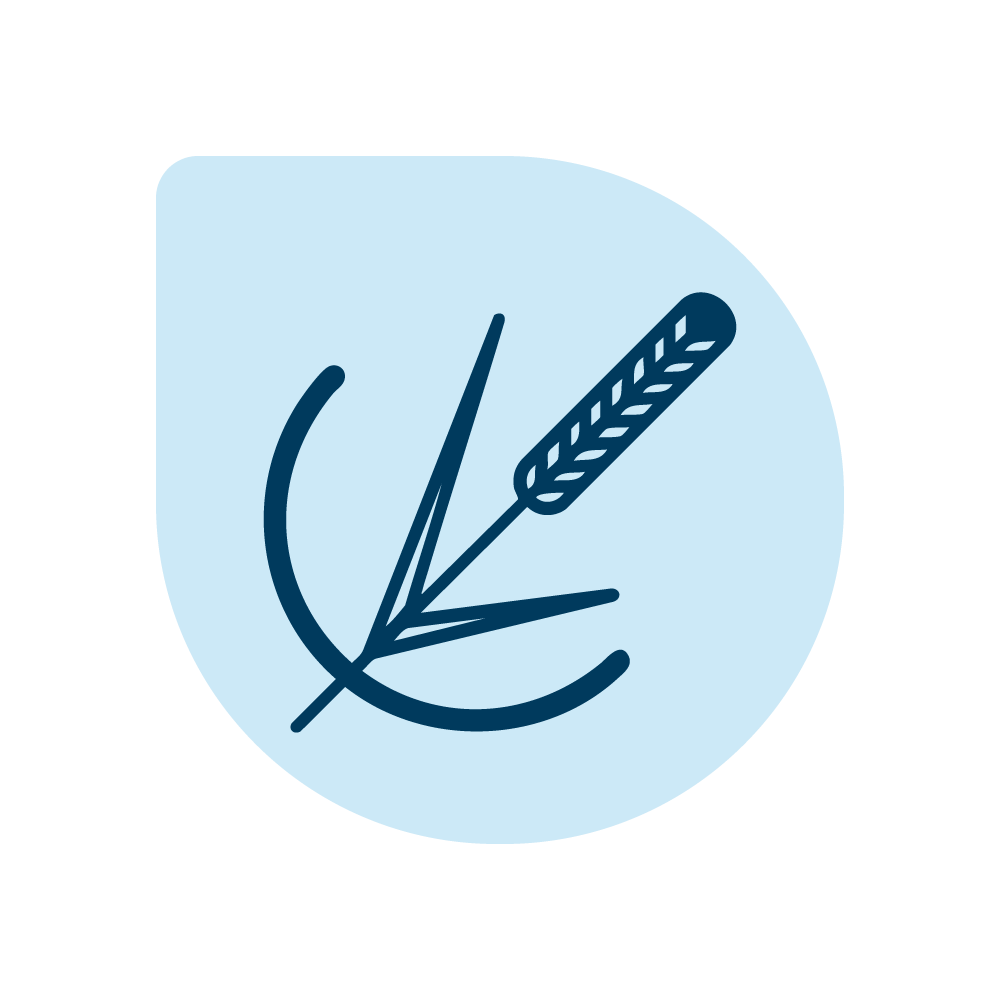 Forage Grass Varieties