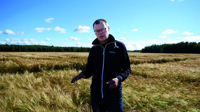 Vertti kasvoi yhdestä tähkästä Suomen viljellyimmäksi monitahoiseksi ohraksi
